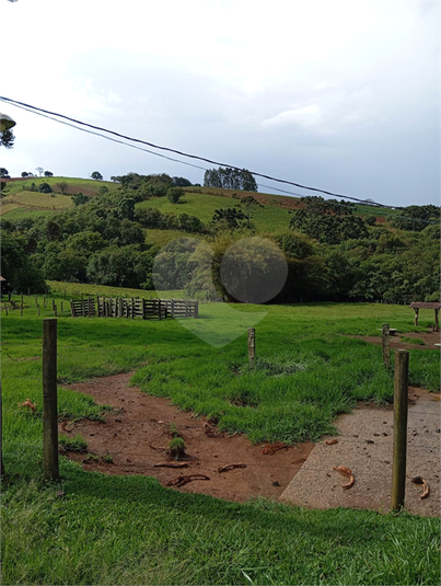 Foto REO1120367