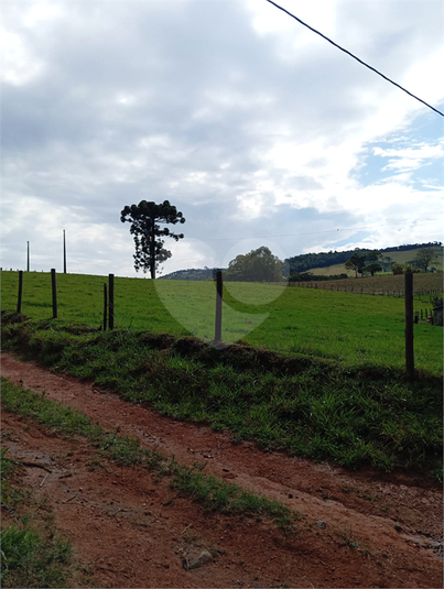 Foto REO1120367