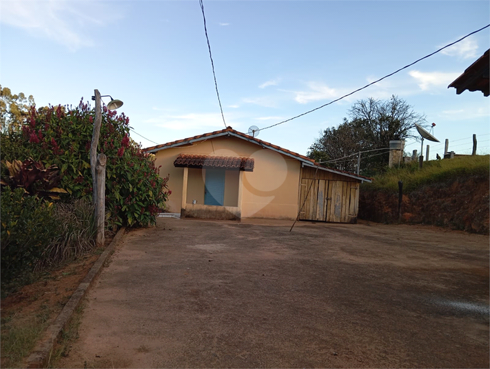Foto REO1120367