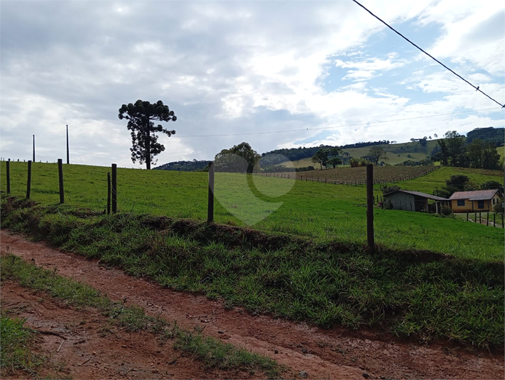 Foto REO1120367