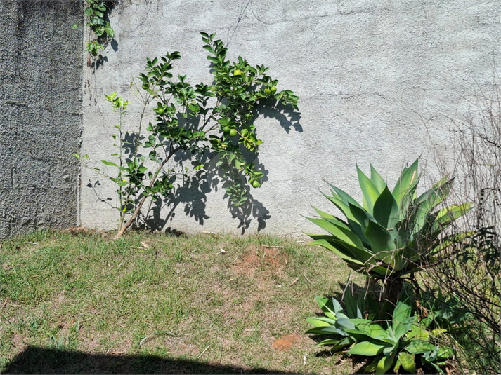 Foto REO1120370