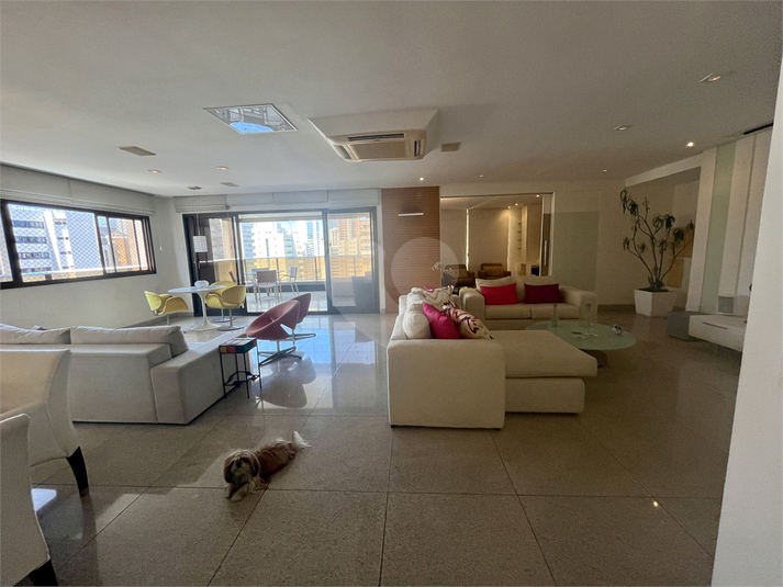 Foto REO1120375