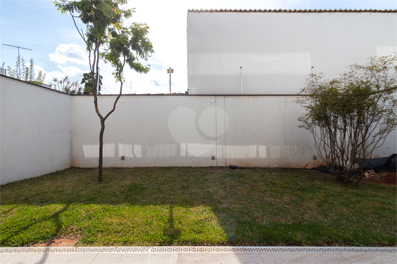 Foto REO1120378