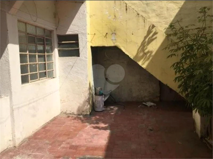 Foto REO1120397