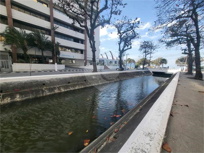 Foto REO1120399