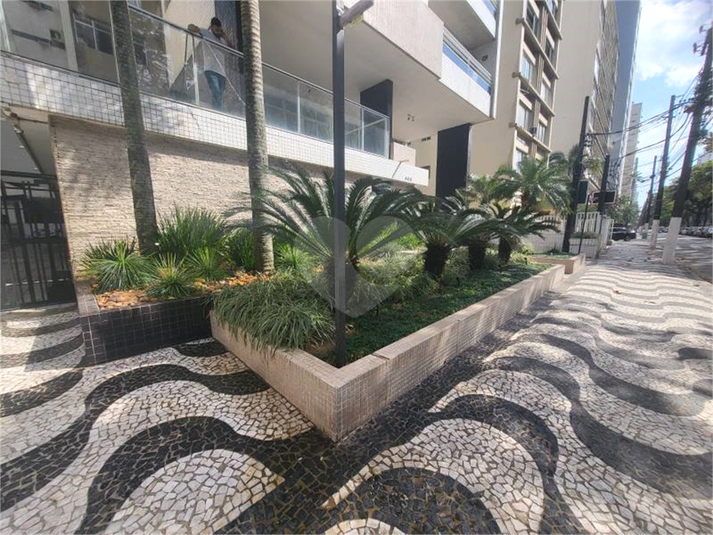 Foto REO1120399