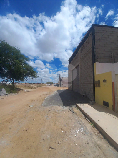 Foto REO1120403