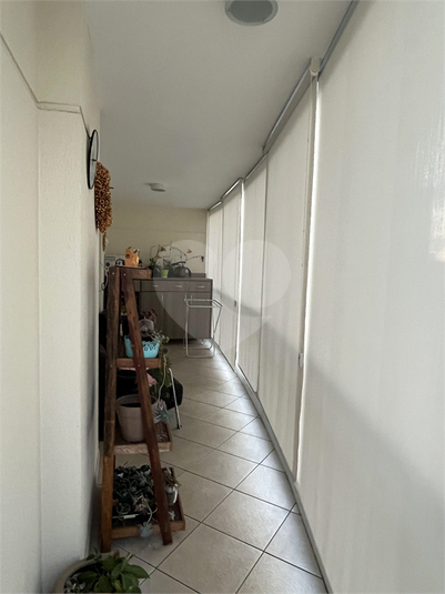 Foto REO1120422
