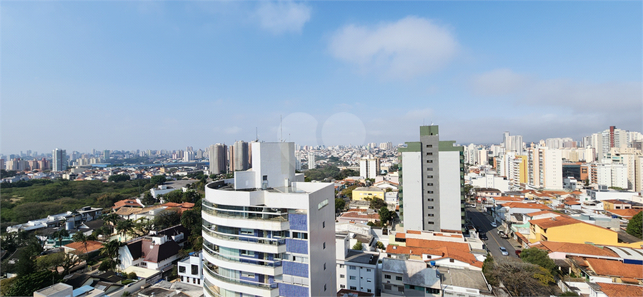 Foto REO1120441
