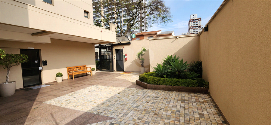 Foto REO1120441