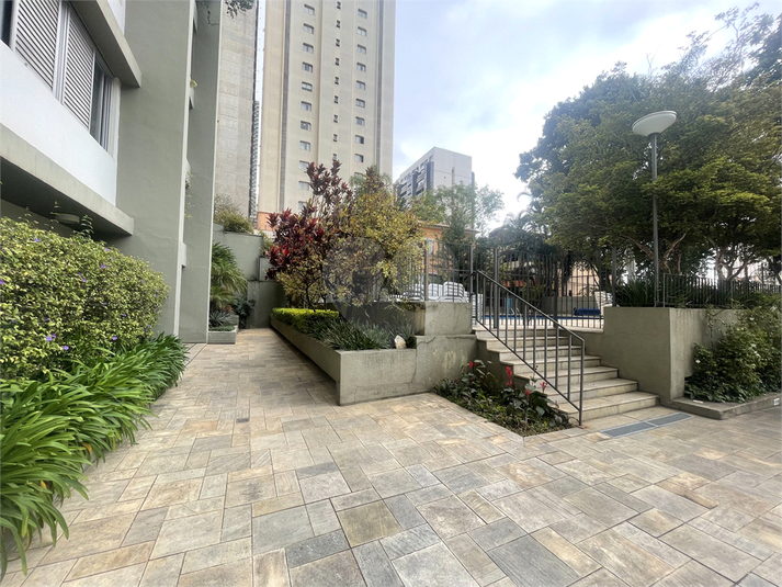 Foto REO1120443