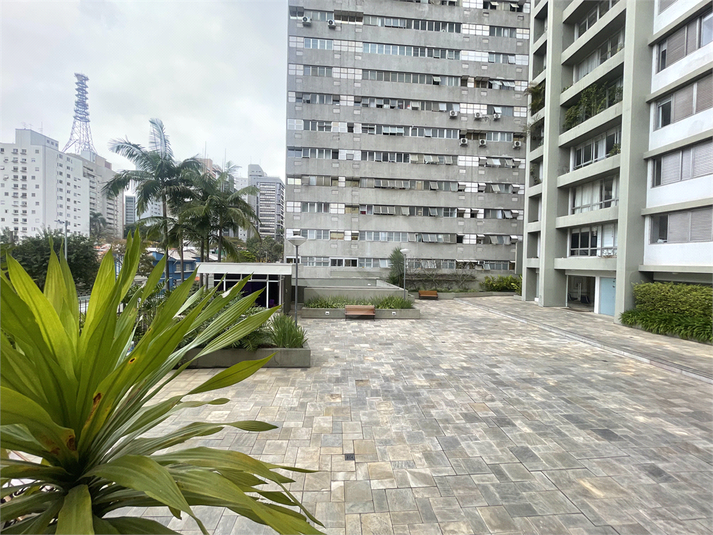 Foto REO1120443