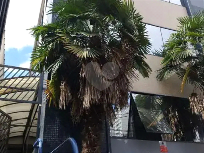 Foto REO1120448