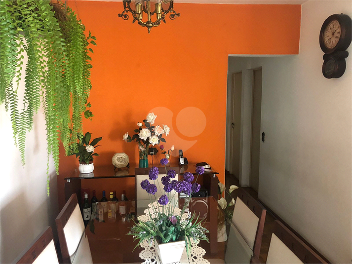Foto REO1120449