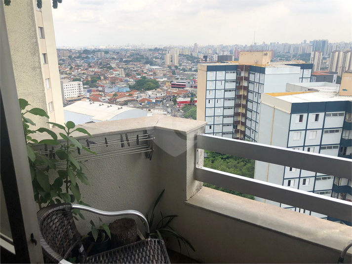 Foto REO1120449