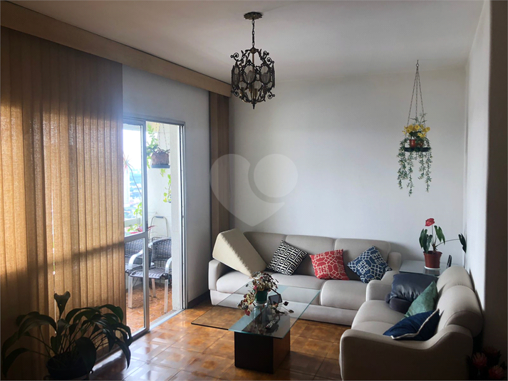 Foto REO1120449