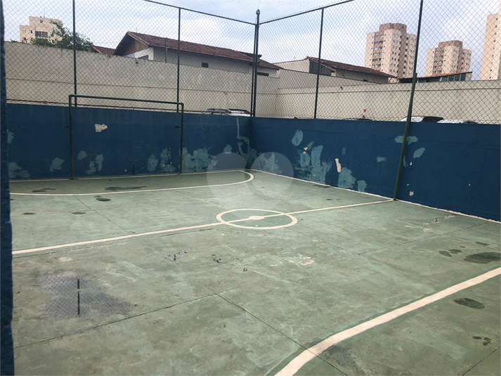 Foto REO1120449
