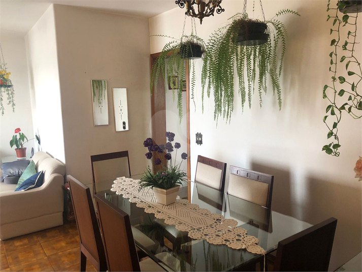 Foto REO1120449