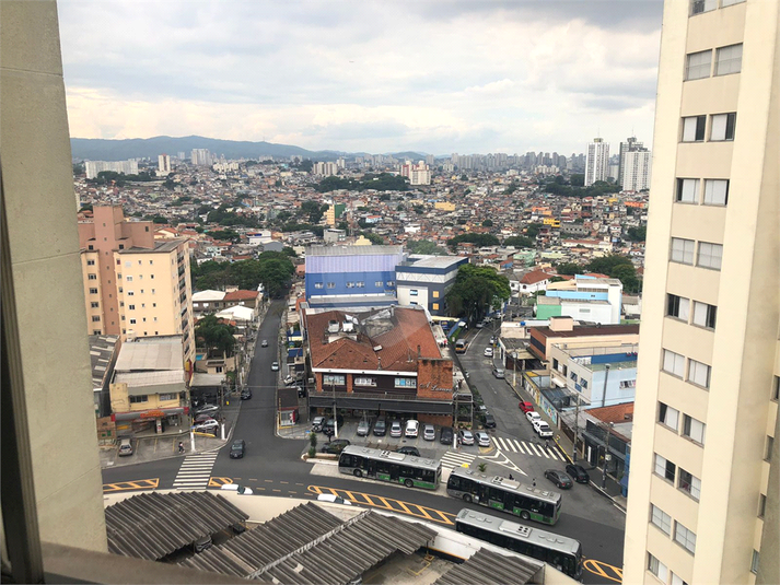 Foto REO1120449