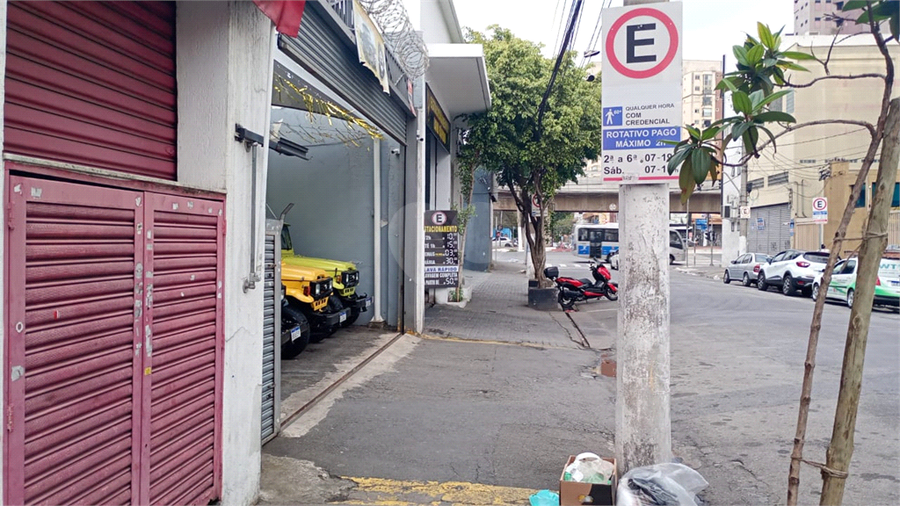 Foto REO1120475