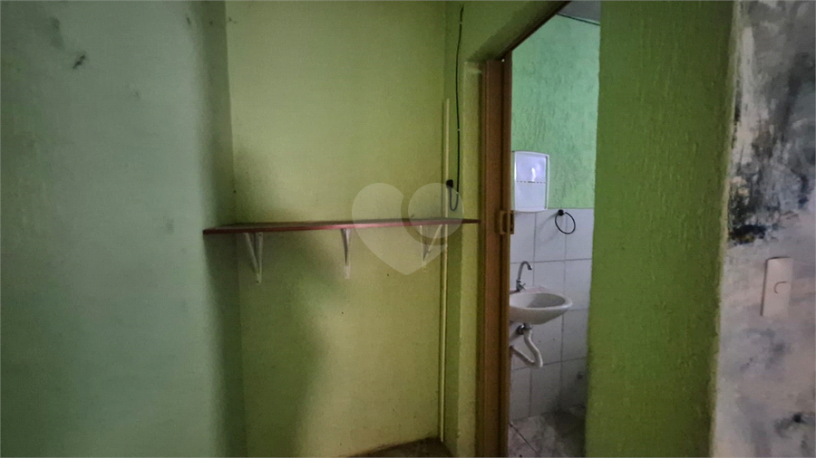 Foto REO1120476