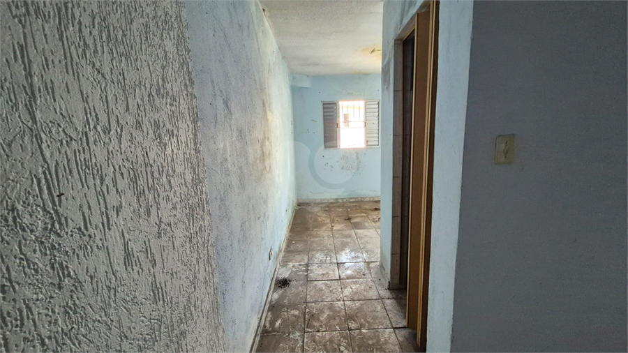 Foto REO1120476