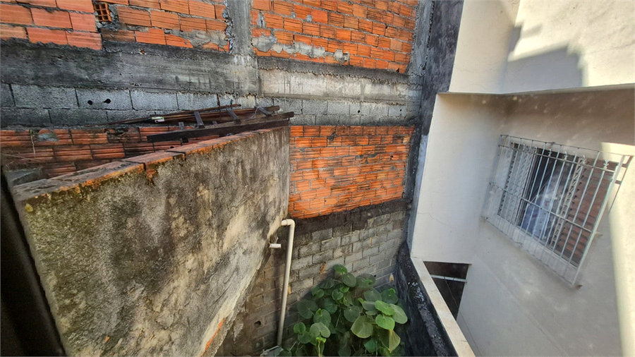 Foto REO1120476