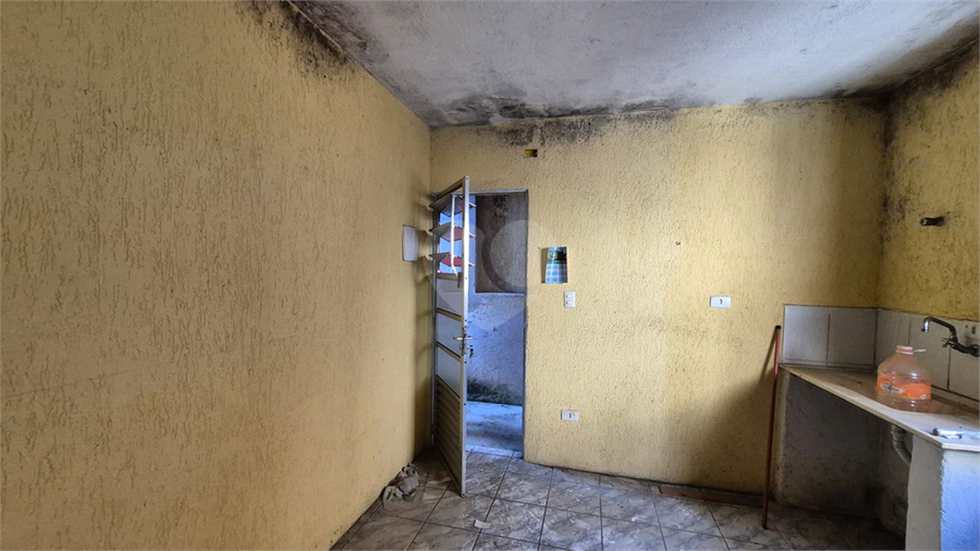 Foto REO1120476