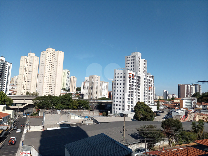 Foto REO1120478