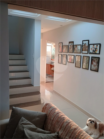 Foto REO1120489