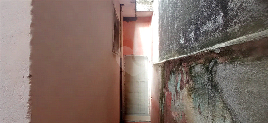 Foto REO1120492