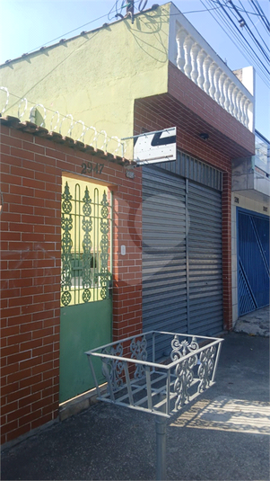 Foto REO1120492