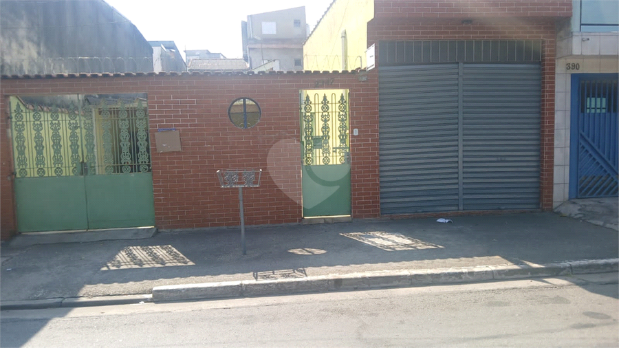 Foto REO1120492