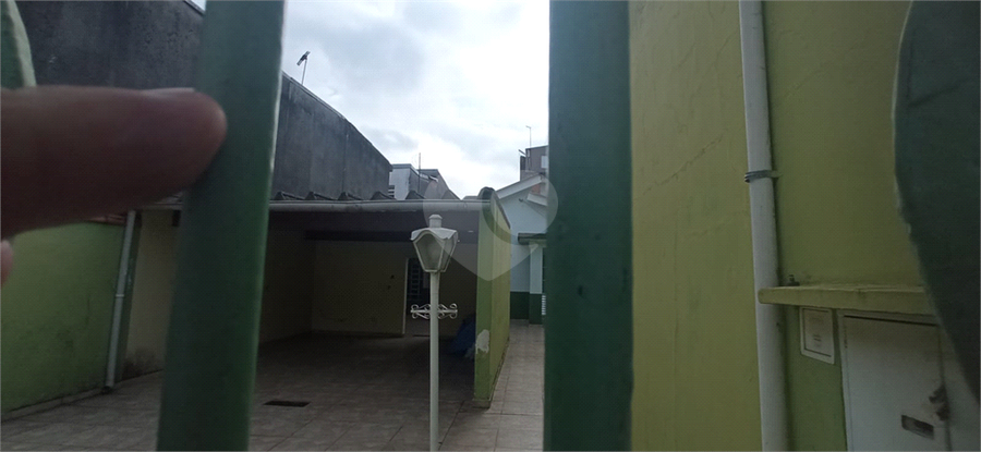 Foto REO1120492