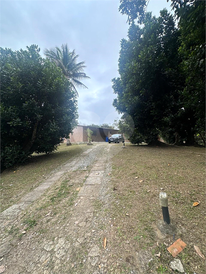 Foto REO1120496