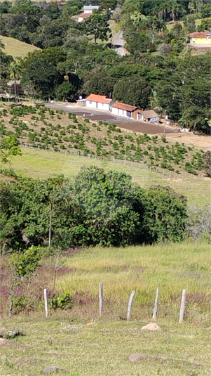 Foto REO1120515