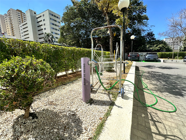Foto REO1120538