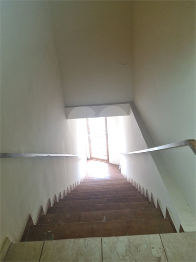 Foto REO1120542