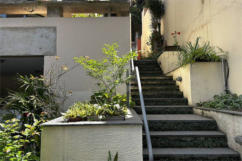 Foto REO1120552
