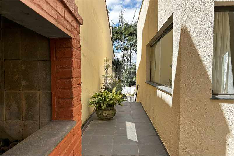 Foto REO1120552