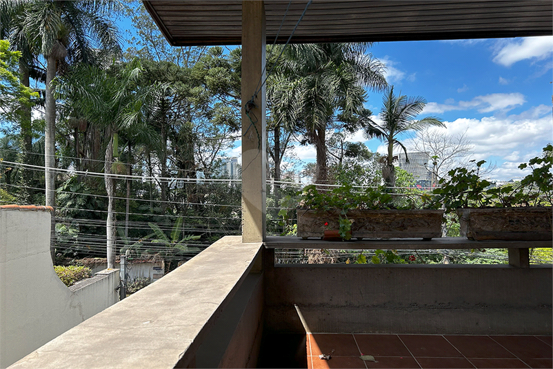 Foto REO1120552