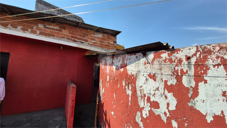 Foto REO1120558