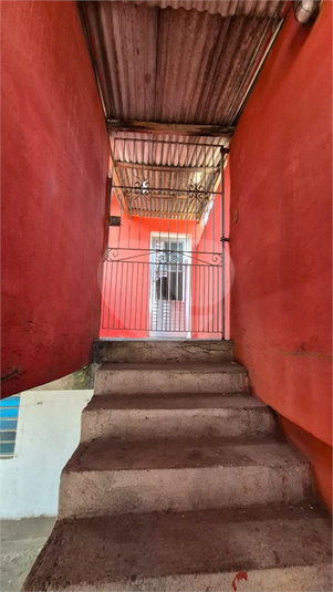 Foto REO1120558