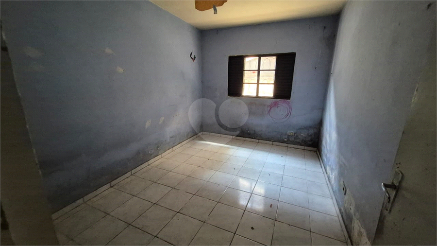 Foto REO1120558