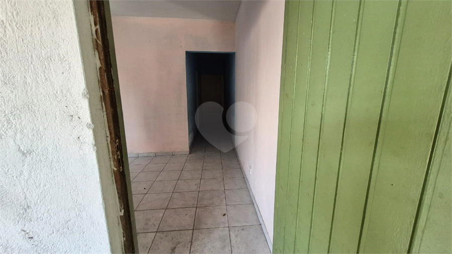 Foto REO1120558