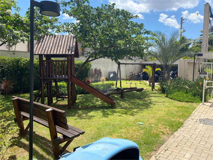 Foto REO1120576