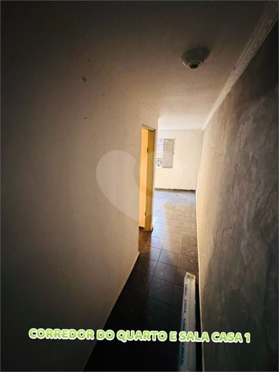 Foto REO1120578