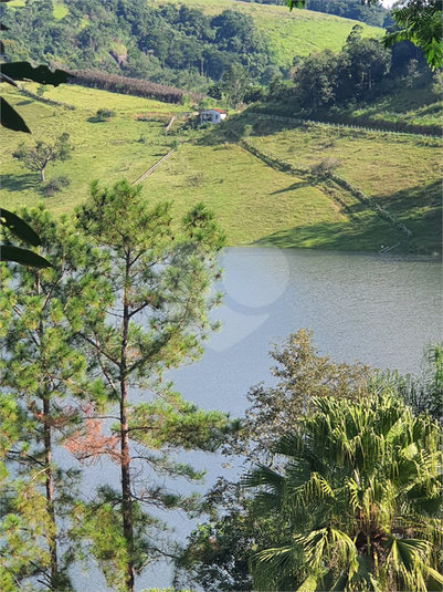 Foto REO1120609