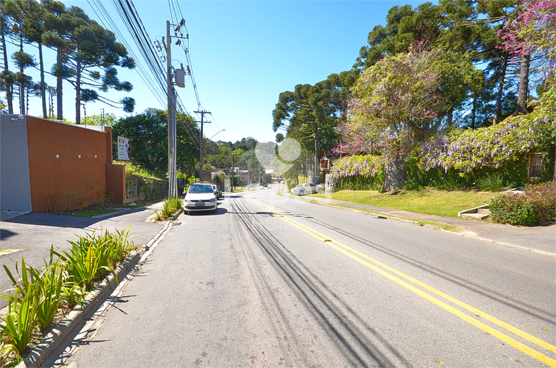 Foto REO1120622
