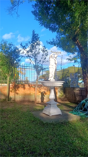 Foto REO1120624